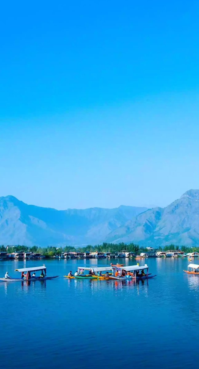 Nature is beautiful. Dal Lake, Srinagar Kashmir.