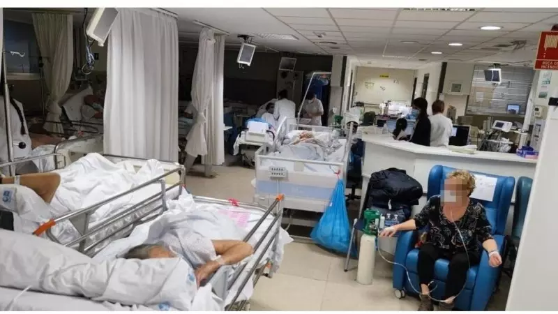 NOTICIAS SANITARIAS 7/2/24

El 43,5% de los ciudadanos cree que las listas de espera siguen igual y la contratación de seguros privados sube desde 2015.

elmundo.es/ciencia-y-salu…