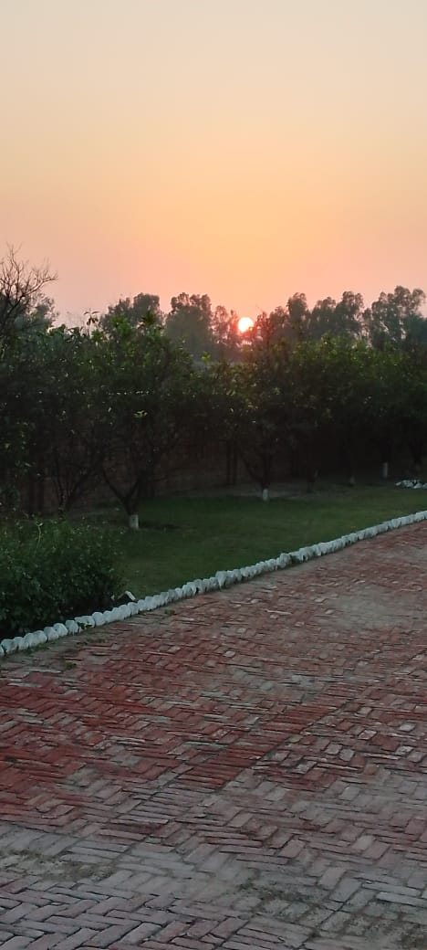 Pakistani awam dunia ki SB sy buzdil qoum main sy ek hai.
Ye 5000 k liye apny zameer bechty hain or phir kehty Hain system change nhi ho Raha .🍂🤬