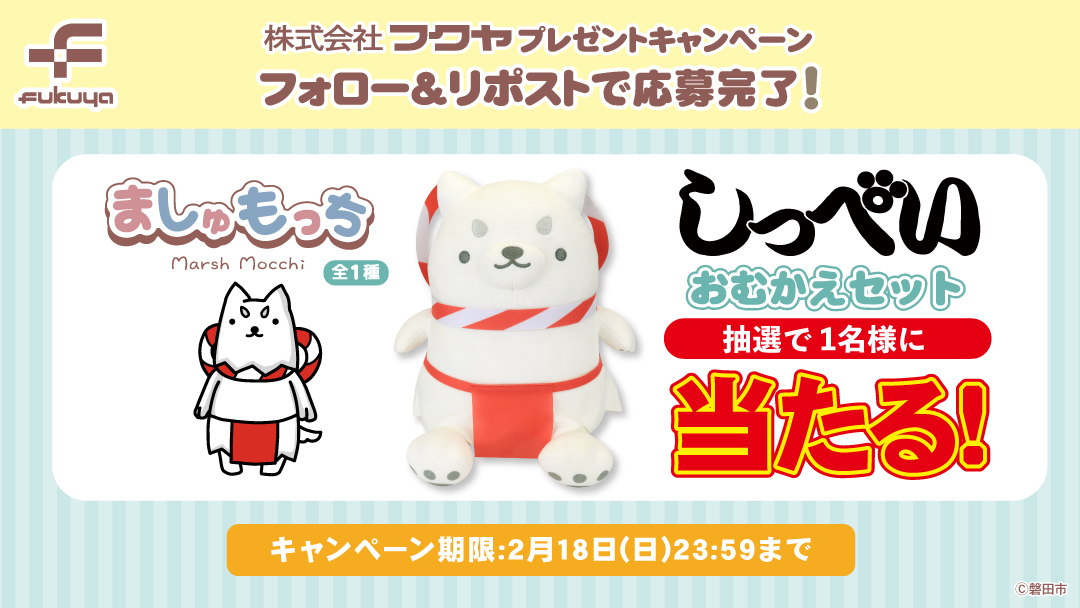 fancy_fukuya's tweet photo. #しっぺい が
おうちにやってくる✨

おむかえセット（全1種）を
抽選で１名様にプレゼント🎁

✨応募方法✨
①当アカウント( @fancy_fukuya )をフォロー
②この投稿をRP

締切は2/18(日)まで！
ご応募お待ちしております🌟 https://t.co/AvCCfn0ttW