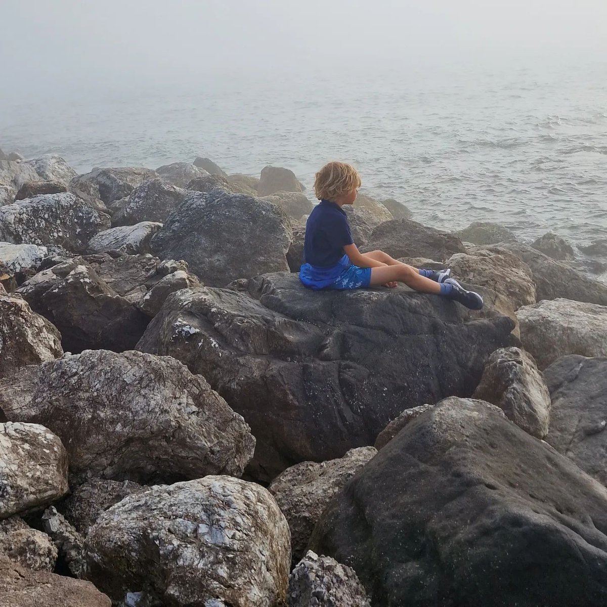 katrinatang.eth I GENESIS DROP ON ▲●■ tweet media