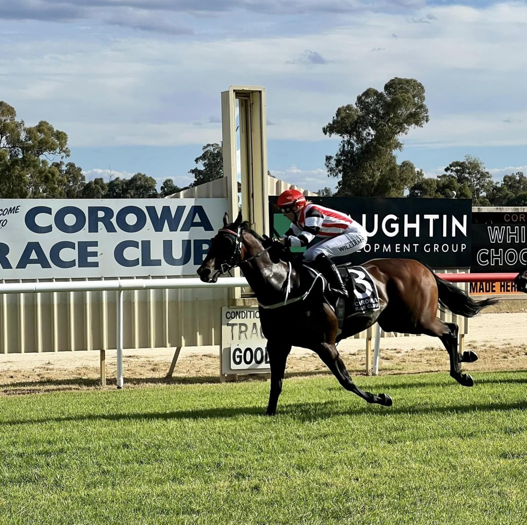 “He is glowing and looks a treat. He’s a happy horse again, and I can’t fault him going into it.'

With plenty of talk concerning rival gallopers ahead of Thursday’s Rodney Parsons OAM Benchmark 82 Handicap at Wagga, Wodonga trainer Craig Widdison is flying under the radar with…