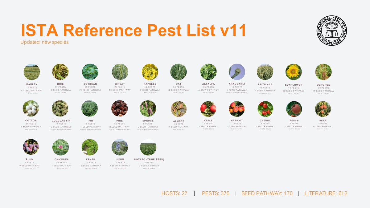 ISTAseedtesting's tweet photo. 🐛The latest @ISTAseedtesting Reference Pest List is now available online.
🆕The updated list includes 3 species of the Fabaceae (lentil, lupin) and Solanaceae (potato) families.
🔬To learn more about the project ⬇️ https://t.co/AxdIWlhEGA
#seedquality #seedtesting #ISTAtools https://t.co/JjR73ypS6d