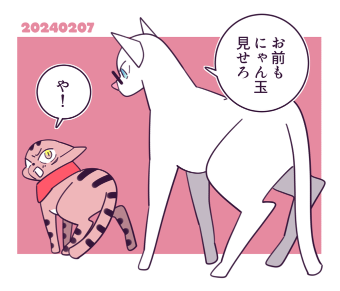 猫五悠 