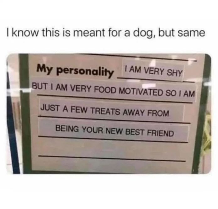 WholesomeMeme's tweet image. 