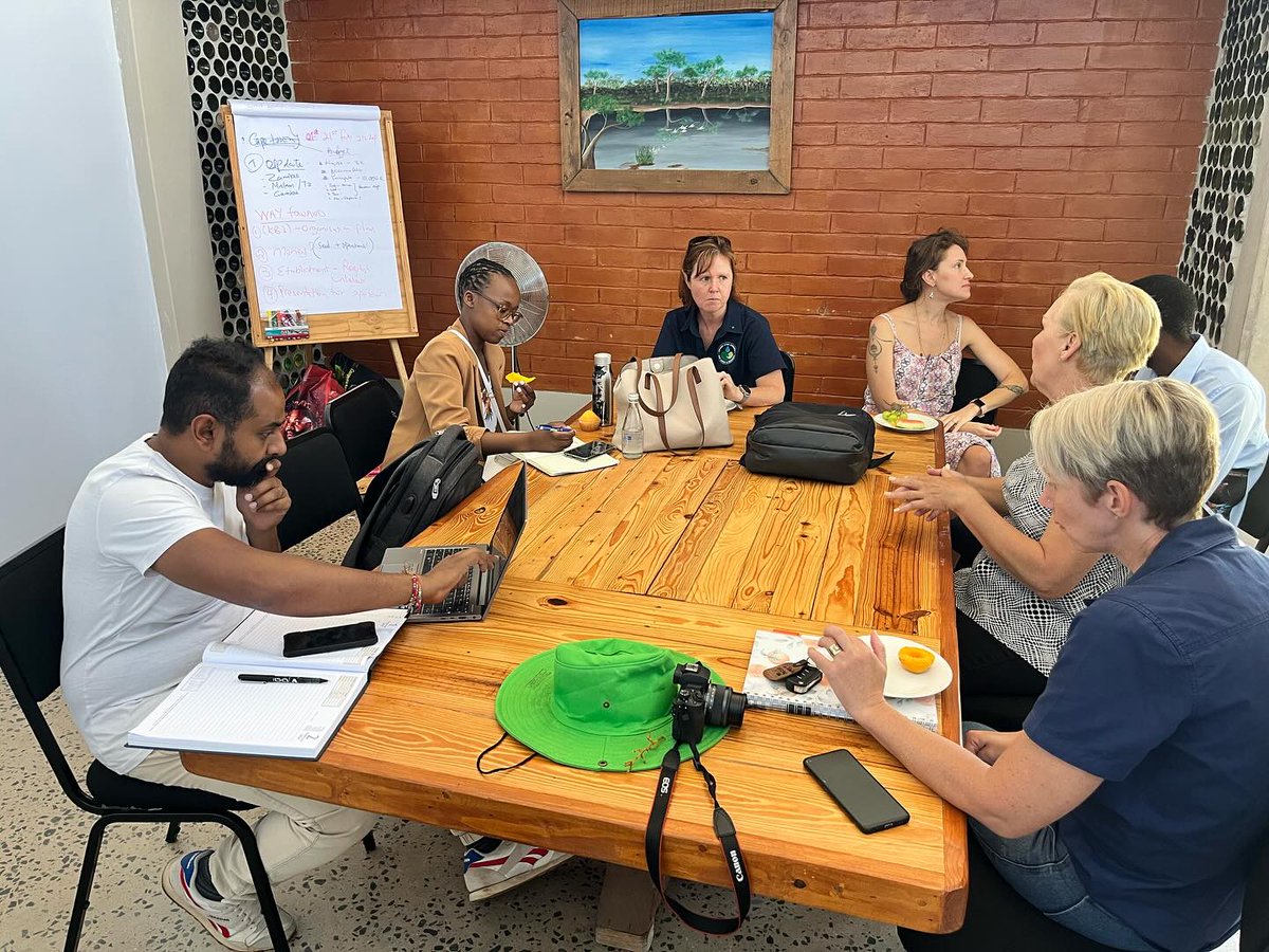 Last week Friday (02/02/2024)we had visitors from @socialemploymentfund who came to do site visits to SEF Partners.
FRAME 1: We visited @useitnpo .
FRAME 2: We then went to our second site VIRTUAL STATE PROGRAMME.
FRAME 3: Last site was with Imagineifnpc group.
<a href="/IDCSouthAfrica/">IDC South Africa</a>