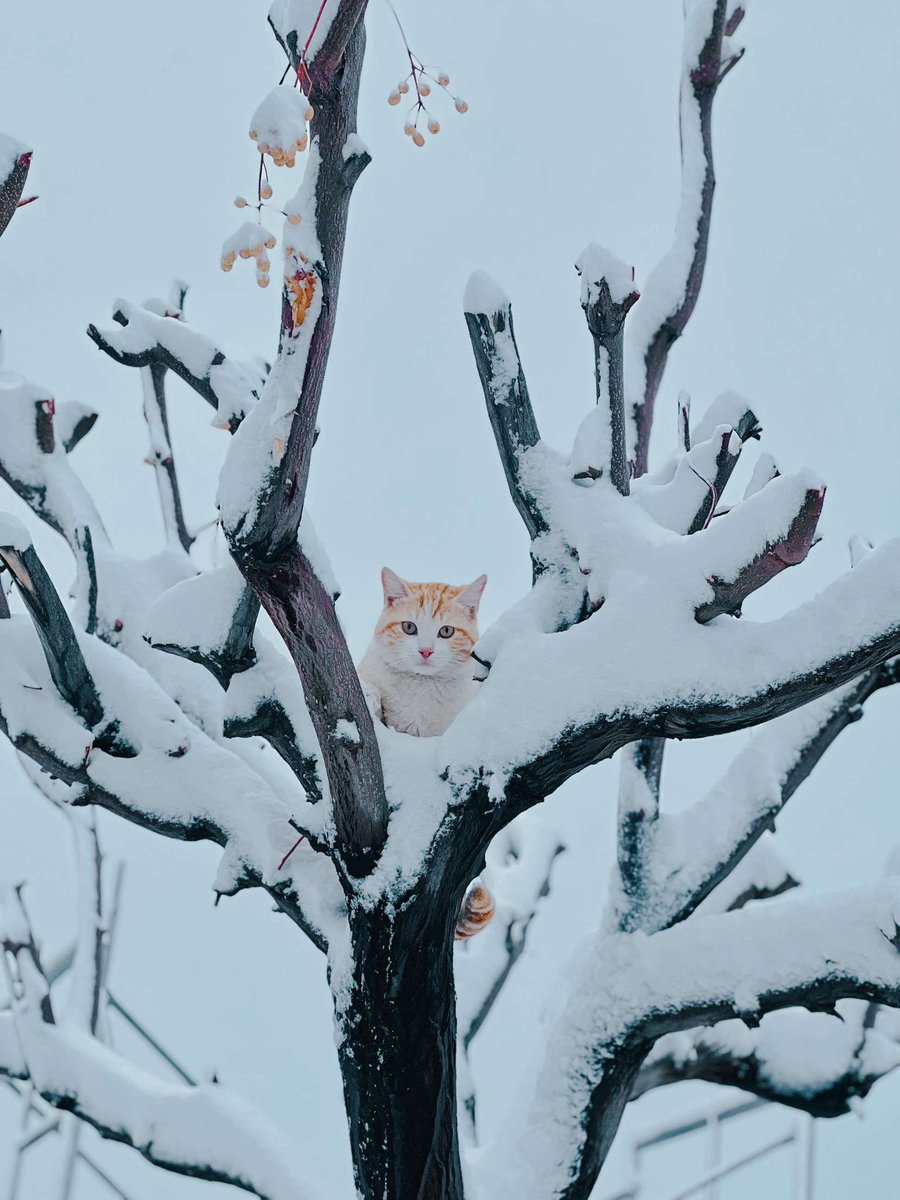 Beni görmeye gelmiş…