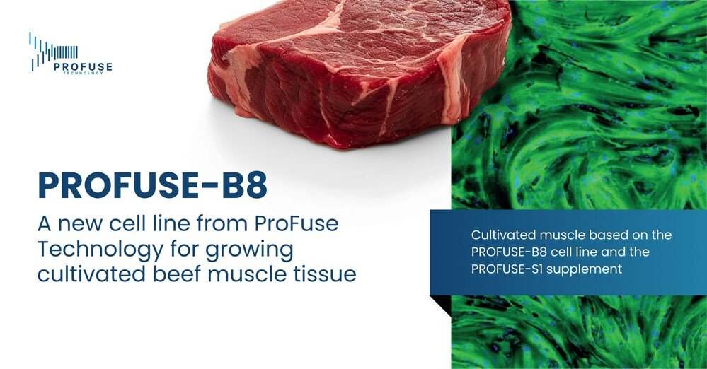 Eshan | Better Bioeconomy ✉ (@biotecheshan) on Twitter photo 🐮 ProFuse Technology launches PROFUSE-B8, a bovine cell line enabling indefinite cell division without genetic engineering for cultivated meat.
<a href="/EiglerTamar/">Tamar Eigler-Hirsh</a>
#bioeconomy #foodtech #altprotein #biotech 🐮 ProFuse Technology launches PROFUSE-B8, a bovine cell line enabling indefinite cell division without genetic engineering for cultivated meat.
<a href="/EiglerTamar/">Tamar Eigler-Hirsh</a>
#bioeconomy #foodtech #altprotein #biotech