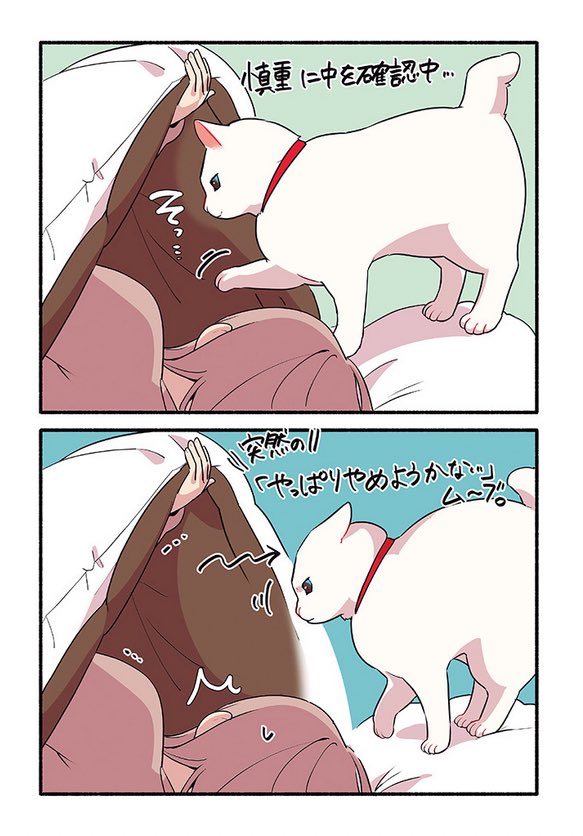 寒い冬の朝の猫の話
(2/2)
#漫画が読めるハッシュタグ
#愛されたがりの白猫ミコさん