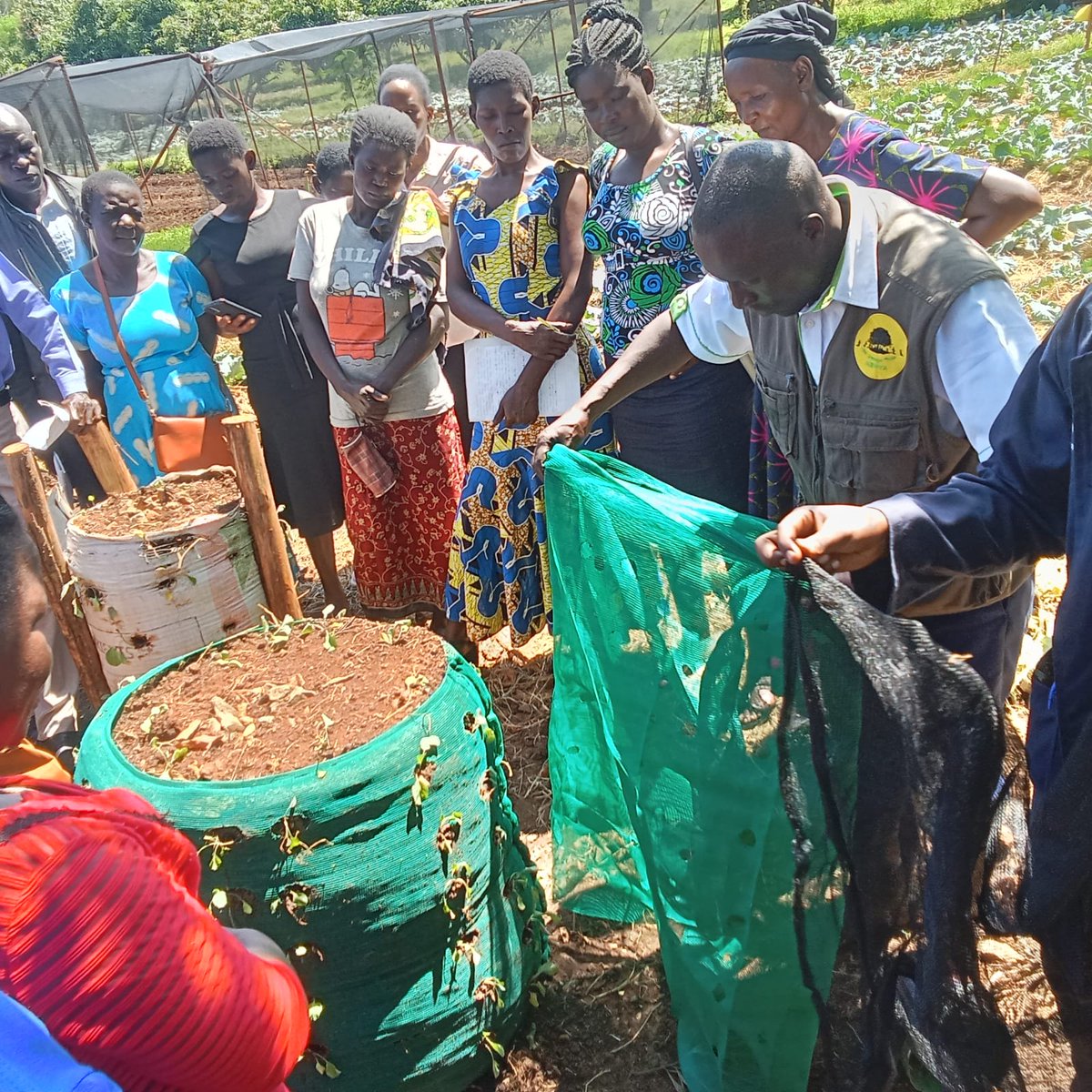 tmt_kenya's tweet photo. Our recent on-site training session, made possible by the generous support of LVCT Health's #Vukisha95 OVC project, focused on equipping smallholder farmers with essential life skills. From beekeeping to kitchen gardening, we're empowering communities in Homabay County to thrive. https://t.co/Wrh3MwhRKq