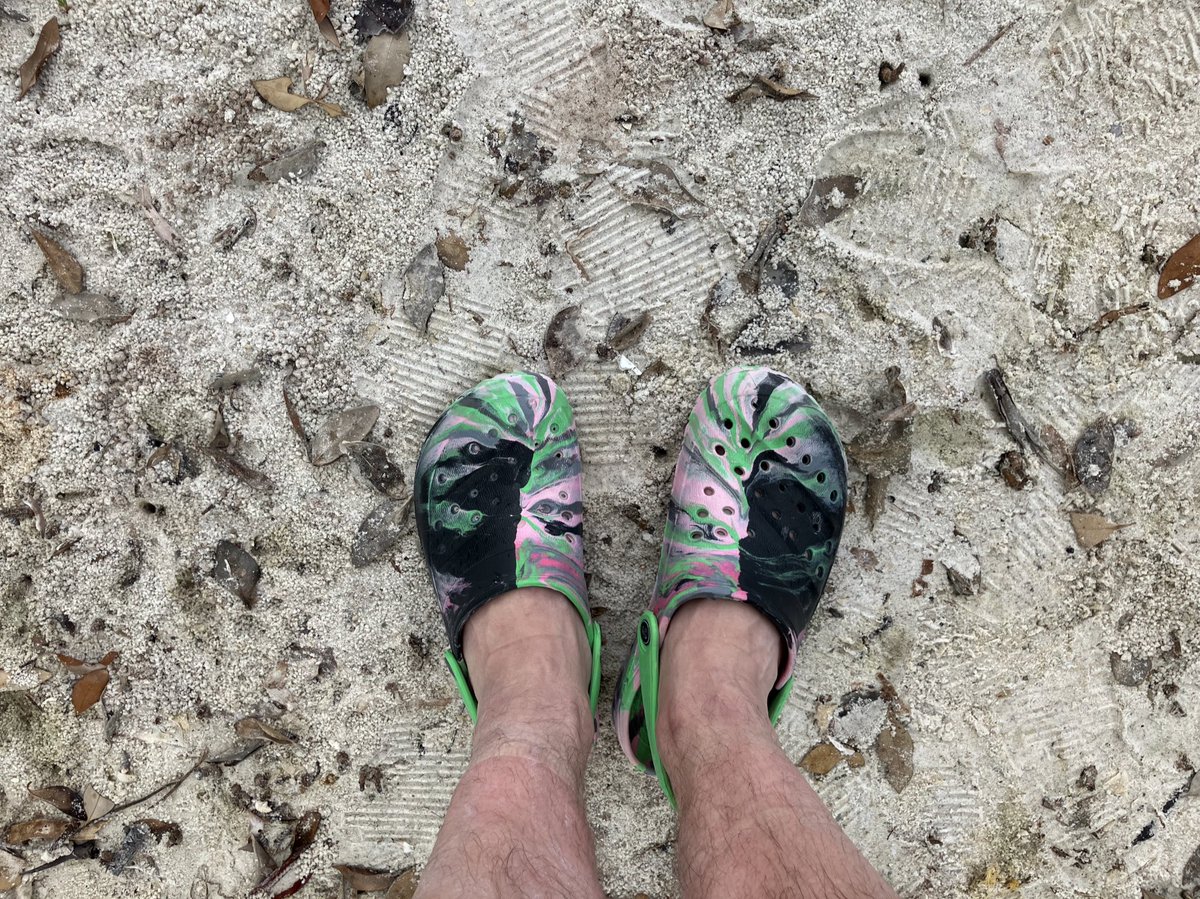 Steve Preddy on Bluesky tweet media