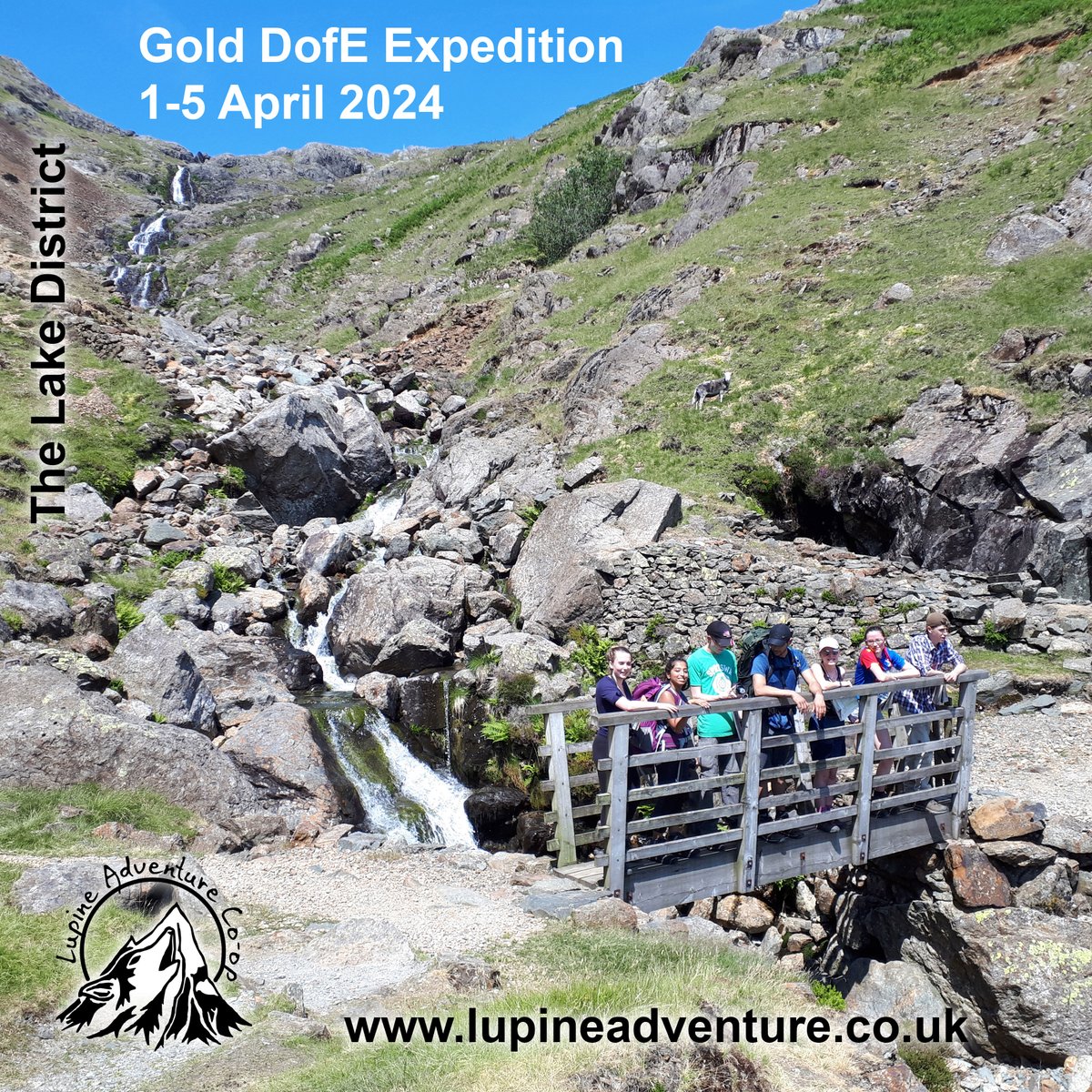 Last few days to book with the early booking discount for our 1-5 April Gold #DofE expedition in the Lakes. We've only 3 more spaces on this expedition. Visit our website for more information and to book lupineadventure.co.uk/2024-open-gold… #LupineDofE @DofE @DofELondon @DofESouthEast