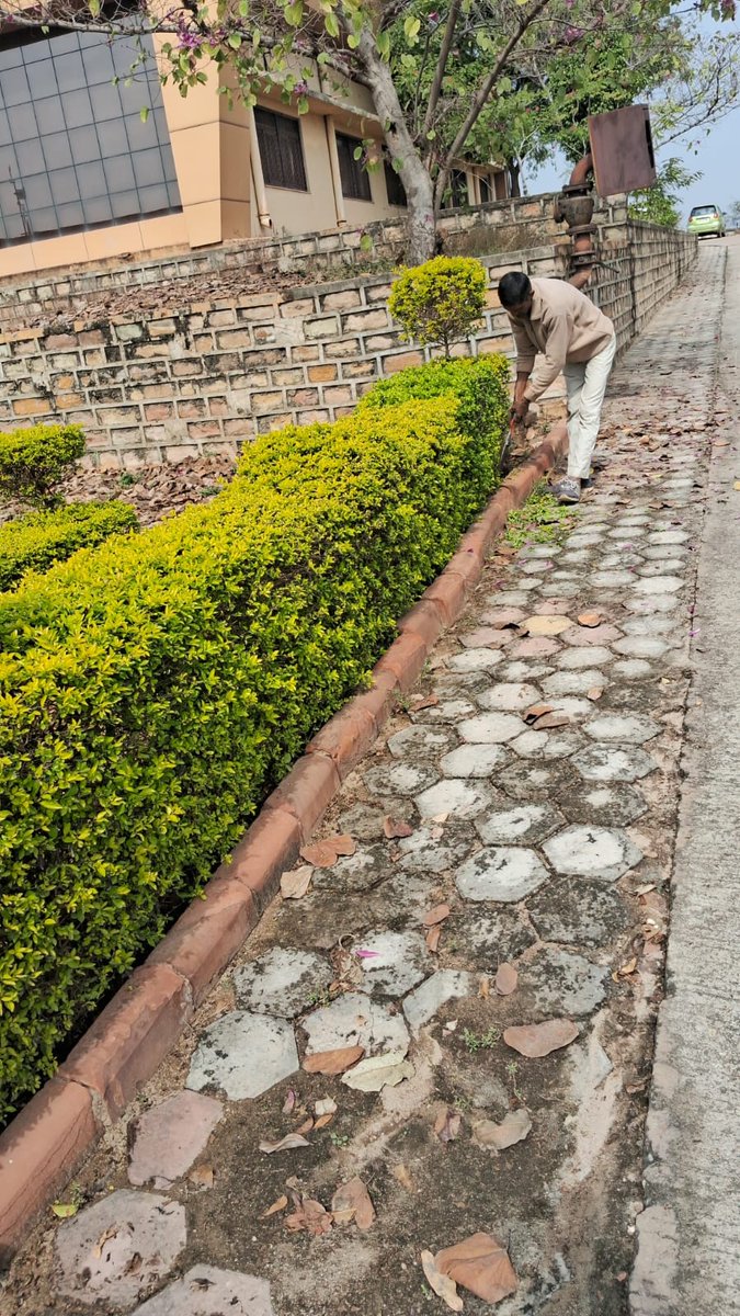 Cleaning of garden area by #STPI #Gwalior centre on the occasion of #SwachhtaPakhwada .@arvindtw @stpiindia #STPIINDIA #SwachhBharatMission #SwachhBharat #SwachhataHiSeva @DeveshTyagii @purnmoon @varma_ravii