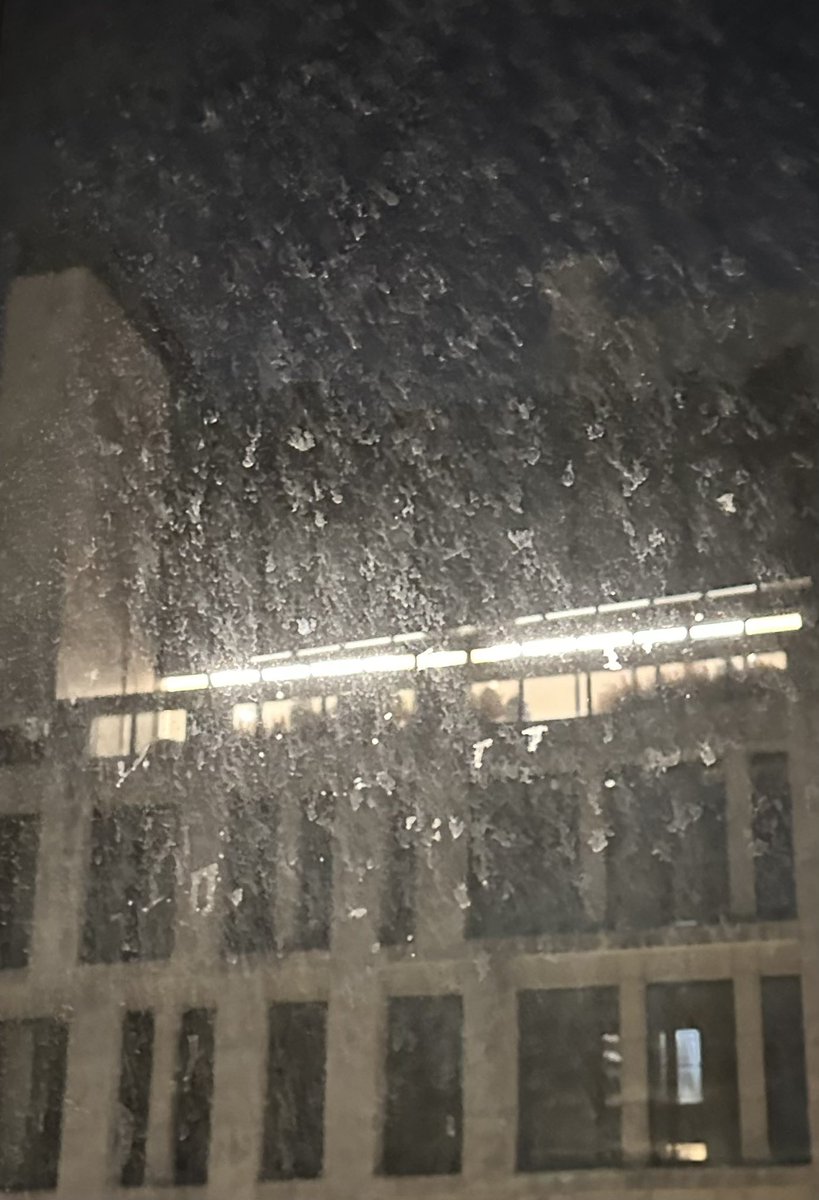 MLeeNYCx's tweet image. Easiest way to be a good neighbor to birds &amp;amp; humans is #TurnOffLights💡But it’s usually the rich entitled ones like @ericschmidt who find that just too much to do…and who also prefer the most hideous glaring display‼️ 

#LightsOutNYC