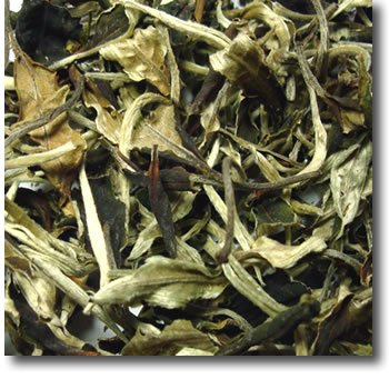 Yunnan Moonlight White Biotee dlvr.it/T2QN0p