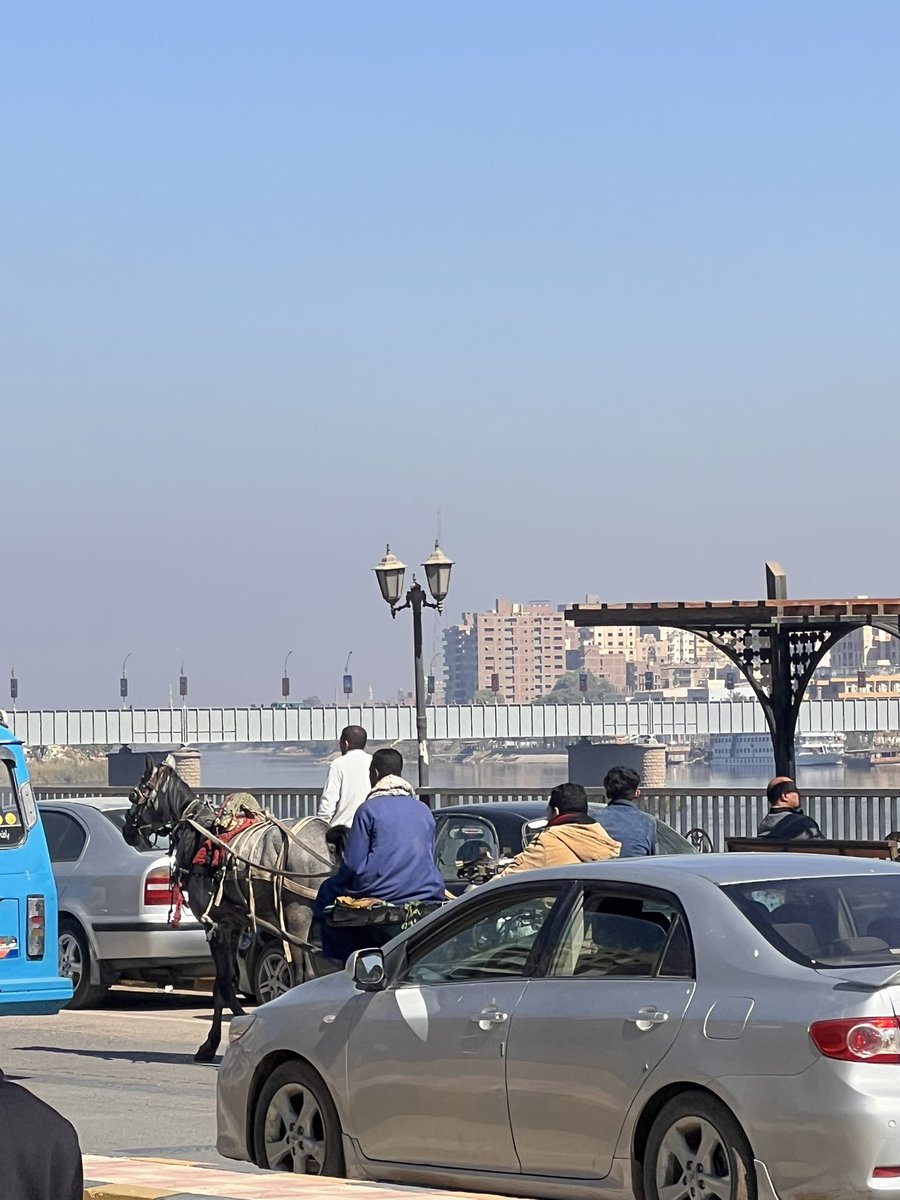 a_hamz6's tweet image. Spreading joy in Egypt! Met this delightful shopkeeper who radiates happiness. Their positive energy is contagious! 🌟 #EgyptianSmiles #LocalJoy
