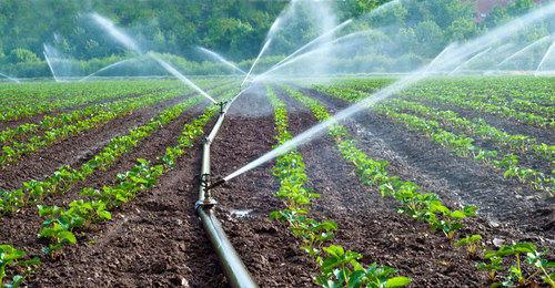 jcniyomugabo's tweet photo. Agriculture is far more than farming. It’s business. It’s science. It’s engineering. It’s energy. It’s information. It’s health care. It’s technology.
Agree? https://t.co/rpI59gddL3