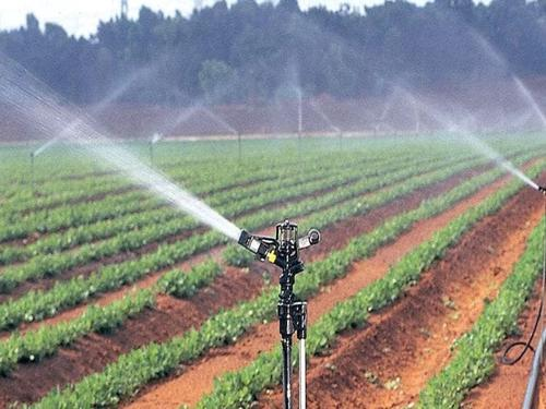 jcniyomugabo's tweet photo. Agriculture is far more than farming. It’s business. It’s science. It’s engineering. It’s energy. It’s information. It’s health care. It’s technology.
Agree? https://t.co/rpI59gddL3