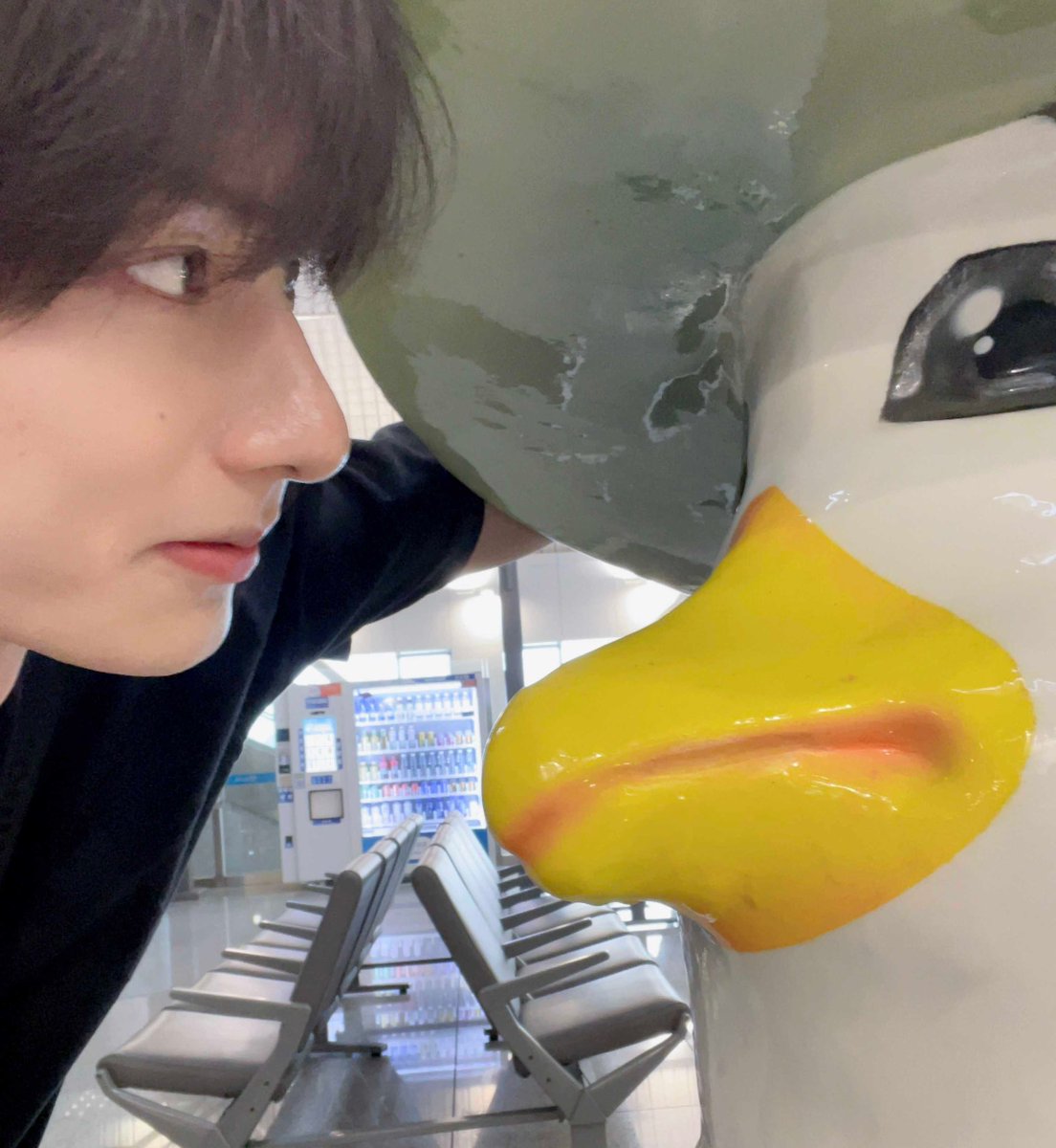 realnokki's tweet photo. 준휘의 펭귄 love 일대기 https://t.co/oB9KIMmcci
