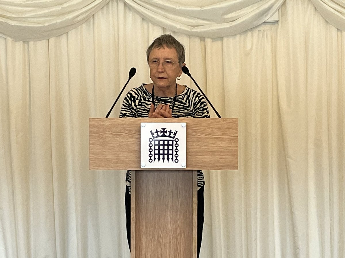 Our #slingthemesh member Dawn courageously tells her story of how a tiny piece of plastic #mesh ruined her life at the launch of todays @PSCommissioner financial redress report