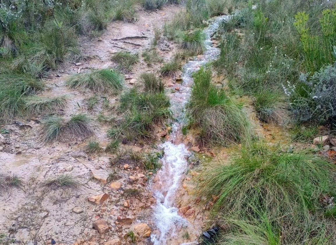 We are excited to announce that we have been awarded with Google Earth's 2023 "Geo for Good Award" for using Google Earth with overlays of historic aerial images to analyse anthropocentric activities on and adjacent to the western boundary of the Limietberg Nature Reserve, Paarl.