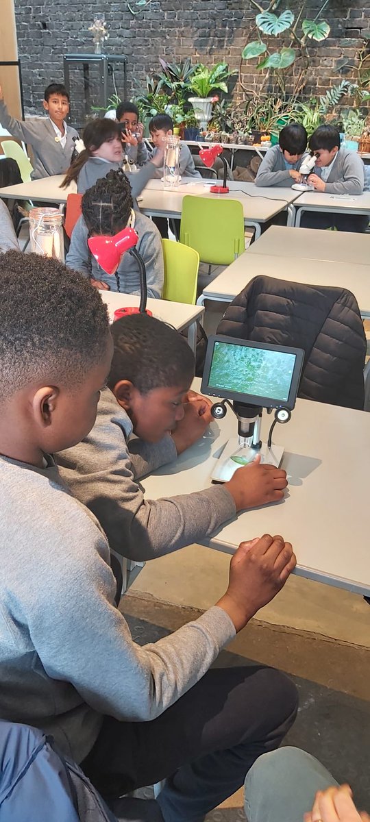 It was lovely to host Year 6 pupils from @StMarks_Lambeth for a session on Climate Change. They looked at rainforest adaptation of plants and features of drought resistant plants. We are able to offer FREE sessions to all our Lambeth schools. #lambethschools #primaryscience