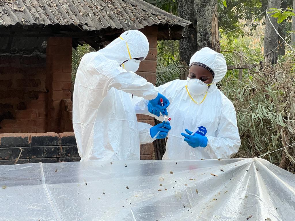 nvrivom's tweet photo. Bats and other wildlife are natural reservoir of emerging and re-emerging zoonoses of global public health threat. Early detection through surveillance at the animal-human interface is important for early warning and control. The National Veterinary Research Institute (NVRI) https://t.co/5caczGVBXQ
