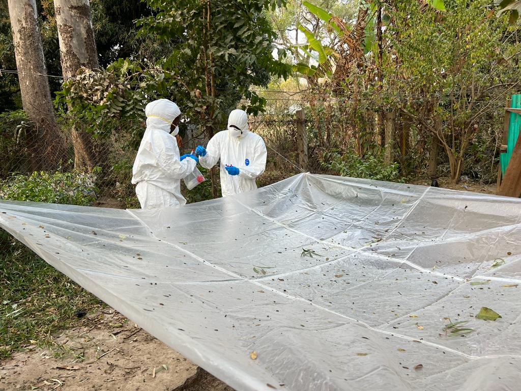 nvrivom's tweet photo. Bats and other wildlife are natural reservoir of emerging and re-emerging zoonoses of global public health threat. Early detection through surveillance at the animal-human interface is important for early warning and control. The National Veterinary Research Institute (NVRI) https://t.co/5caczGVBXQ