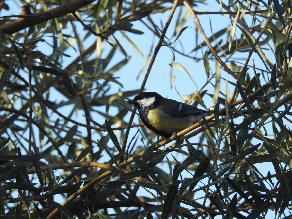 360 Soluciones Cambio Climático tweet media