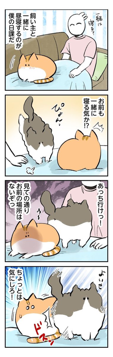 @ROUND1_AMPRIZE 自薦します!
我が家の3匹の猫たちをモチーフにした漫画を描いています!よろしくおねがいします🙏✨
#ラウンドワン限定プライズ 
