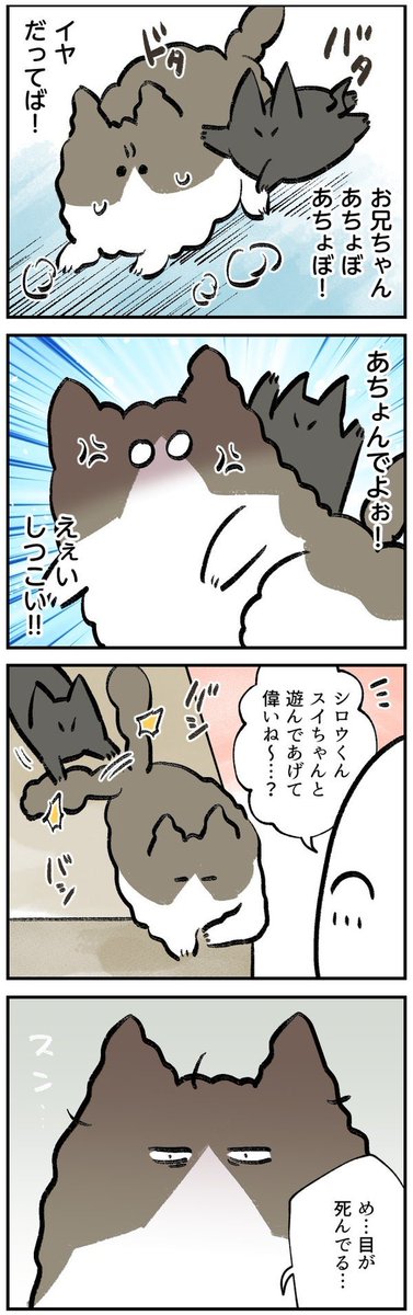 @ROUND1_AMPRIZE 自薦します!
我が家の3匹の猫たちをモチーフにした漫画を描いています!よろしくおねがいします🙏✨
#ラウンドワン限定プライズ 