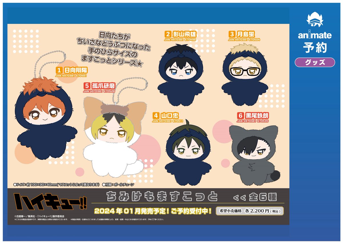 グッズ入荷情報】 「ハイキュー!!」ちみけもますこっとが入荷致しまし