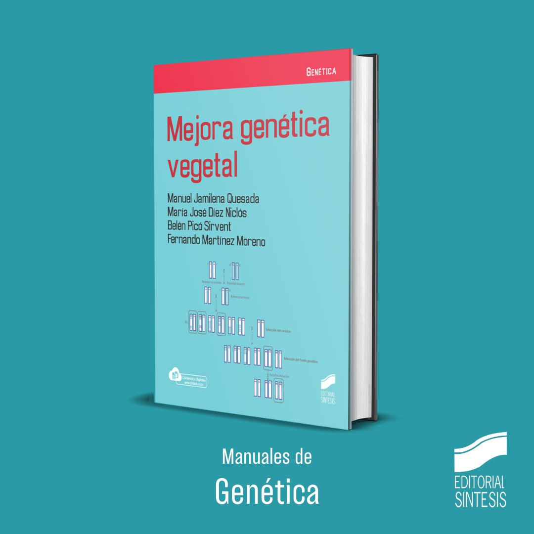 Editorial Síntesis tweet media