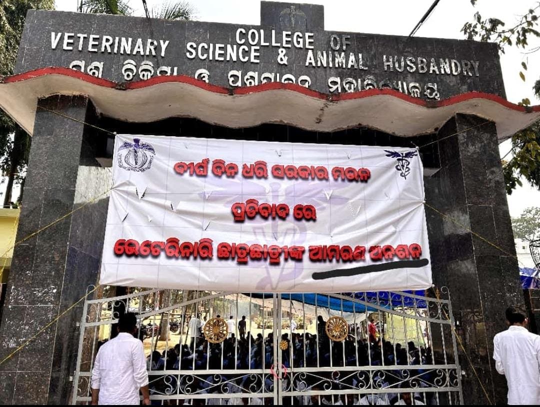 Huge impactful effort by Students gone for hunger strike...High time for government to think and to have a conclusion <a href="/AdmnNayagarh/">Collector & DM Nayagarh</a> <a href="/dahvsodisha/">Directorate of AH&VS Odisha</a> @farddept <a href="/rajaaswain/">Ranendra Pratap Swain</a> <a href="/CMO_Odisha/">CMO Odisha</a> <a href="/MoSarkar5T/">MoSarkar 5T</a>  #OdishaVetsOnProtest #odis