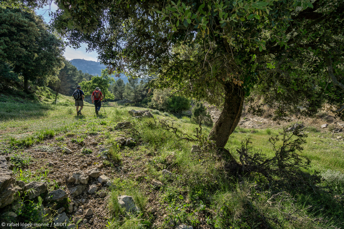 Vine a fer la ruta circular de les #TerresDeMestral i endisa't a peu al cor verd #OutdoorPark de #mar i #muntanya 💚😉
ℹ️ terresdemestral.cat 

📸 @lopezmonne
 
@terresdemestral
#CamíDeMestral #DeLEbreALaMediterrània