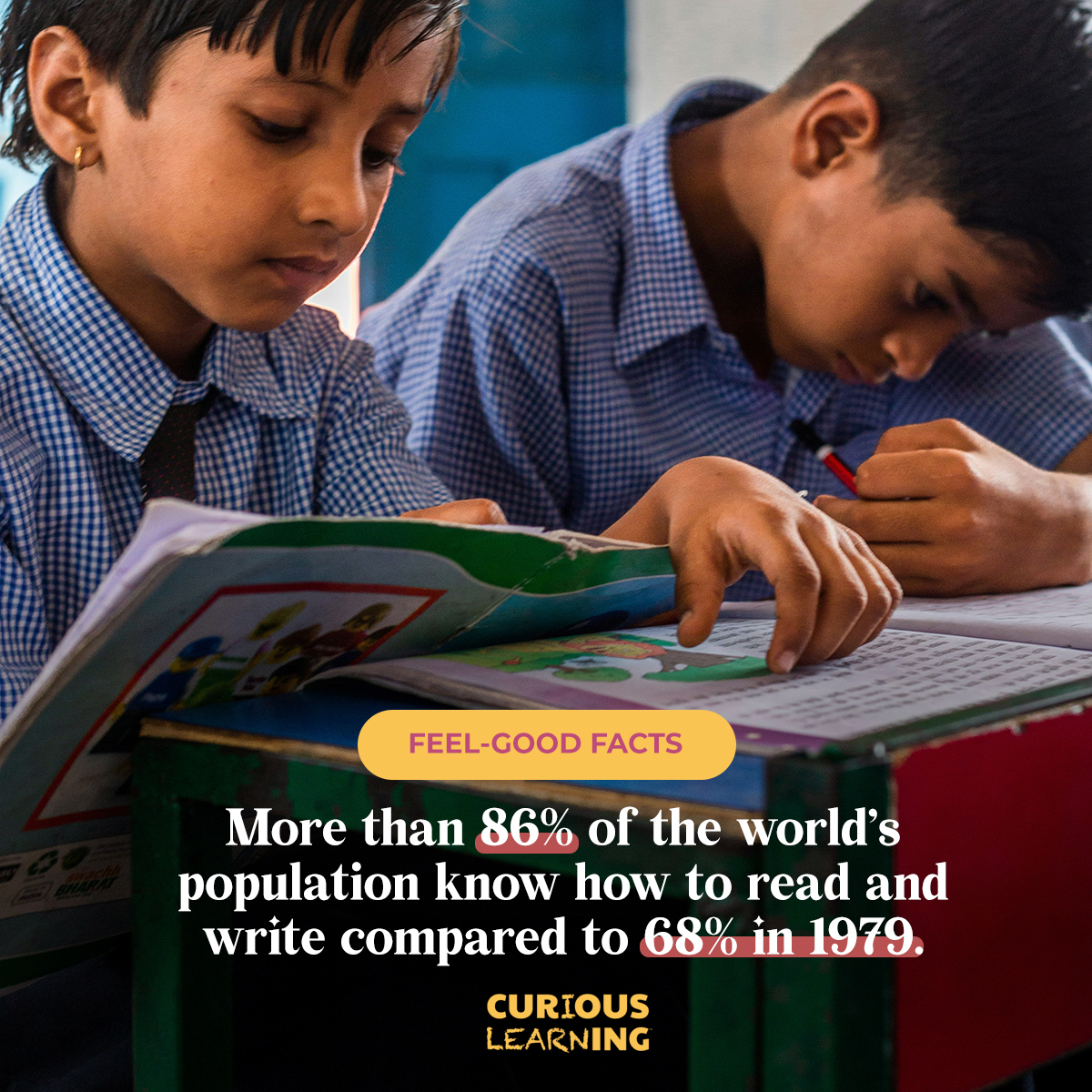 Curious Learning tweet media