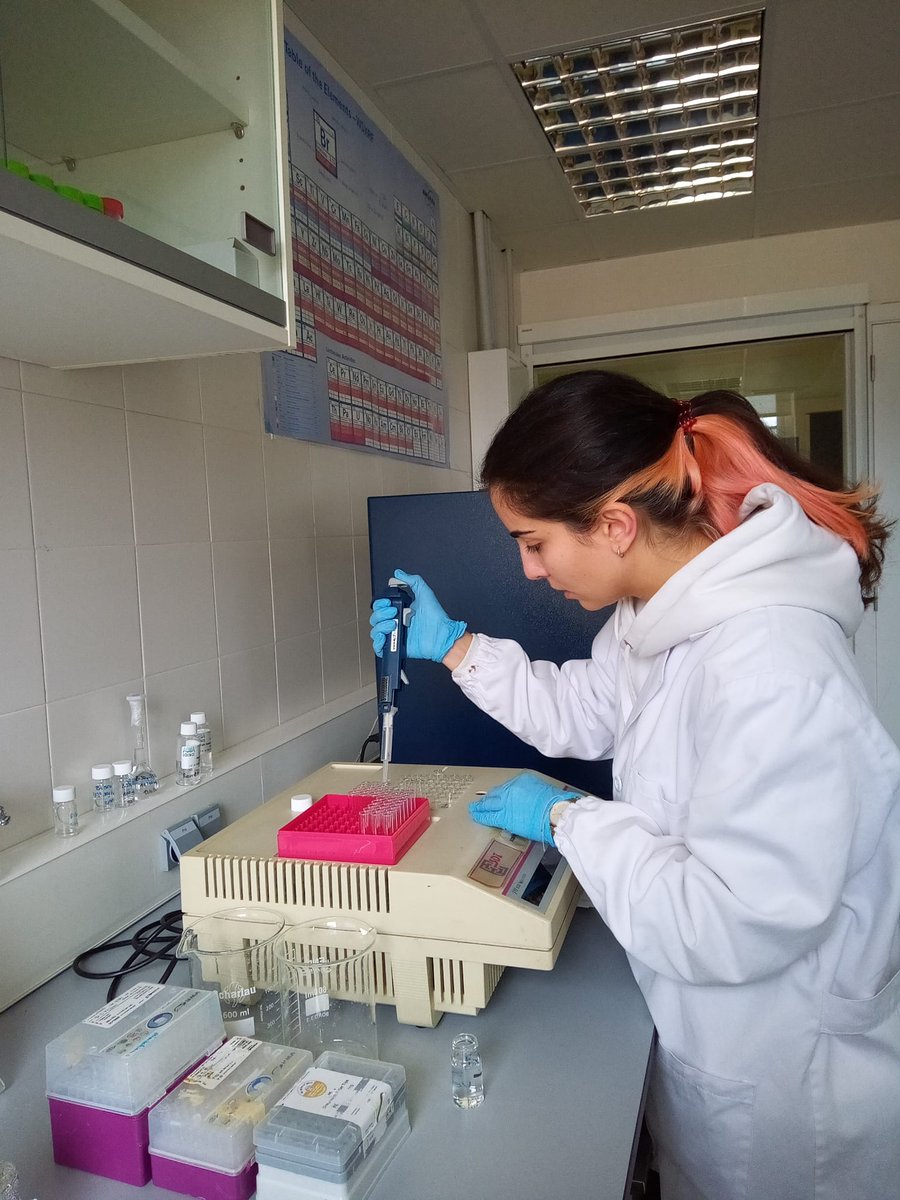 AMMONTOXproject's tweet photo. We continue evaluating the effect of the #WAF of #oil incubated at different types, this time with #Microtox test. This research is part of the master thesis of Aitziber Aranburu, who is studying the Master’s Degree in #EnvironmentalContamination and #Toxicology at @pie_upvehu . https://t.co/773LHCCwtt
