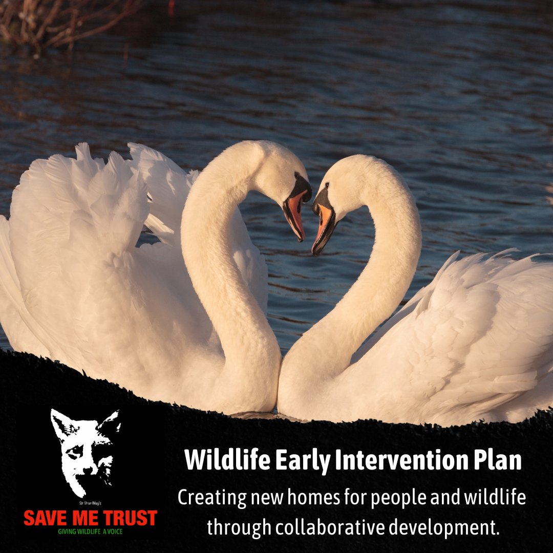 SaveMeTrust's tweet photo. Balancing human needs with wildlife is vital, that’s why our Wildlife Early Intervention Plan (WEIP) is so important. #SaveMeTrust Read more about our WEIP here: https://t.co/2AEa0wGPRE https://t.co/LP3OMfOzzG