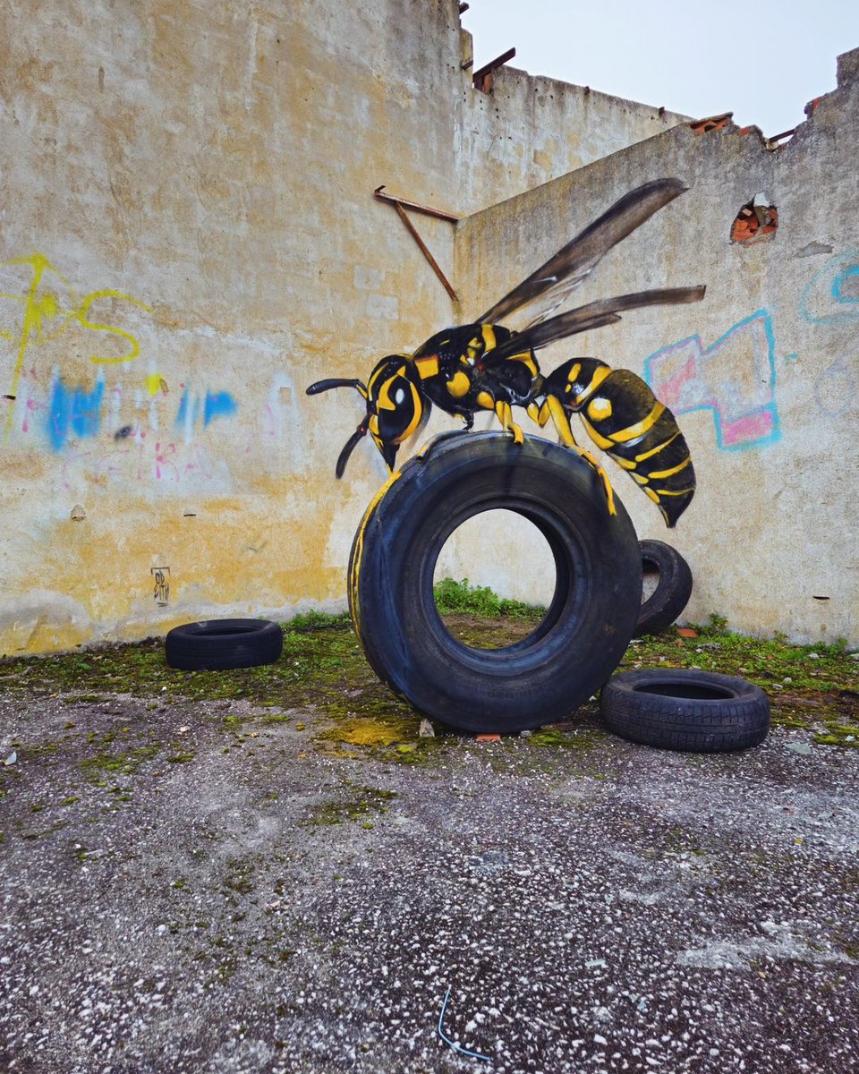 brababella's tweet photo. #Streetart: "Tires and wasps" by #Odeith @ Portugal
More pics at: https://t.co/fx8LjZjJDu
#anamorphism #3dart #streetartPortugal #Portugalstreetart #arteurbana #urbanart #murals #muralism #contemporaryart #artecontemporanea @odeith https://t.co/9rfbxb71mz