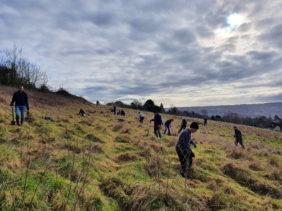 This Saturday, we'll be revisiting the fields behind Purlewent Drive in Weston to mulch and protect the young trees that were planted in 2022. Join us to make a positive impact on our green spaces 🌿🌳 Please see the link in our bio to reserve a place via Eventbrite 💚