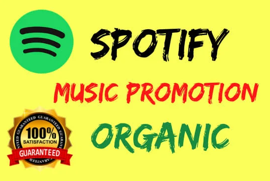 Want to stand out on Spotify? Let us help with our promotion packages at KingzPromo.com. 🔥  #talentmanagement #musicexecutive