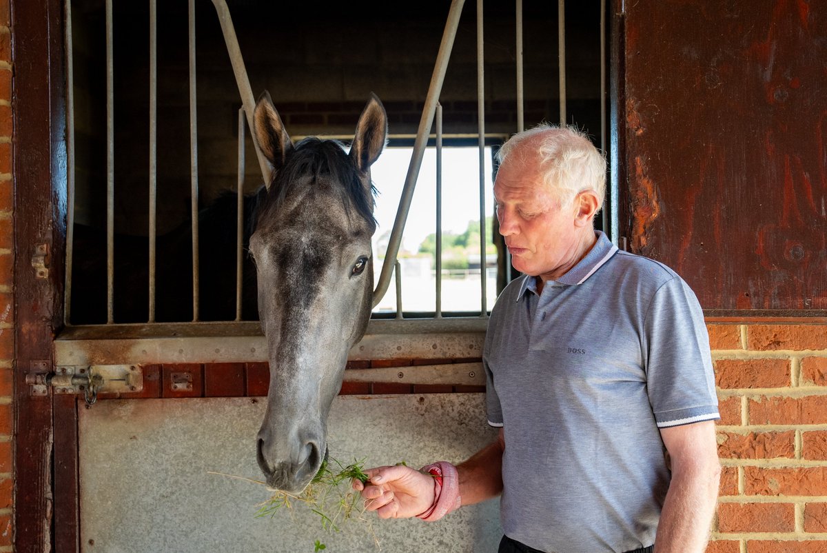 OldGoldRacing's tweet photo. Looking to get into horse racing ownership for the first time? We have the perfect solution for you!

Meet Running The Game, a Kempton Park flat winner in 2024, trained by the legendary Gary Moore.

This stunning grey gelding is available for £60 a share, with the syndicate term open until the end of November! 😍

https://t.co/AX18j7m9ZO