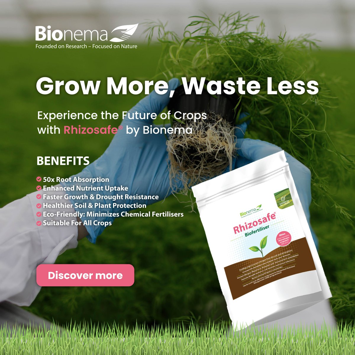 Bionema's tweet photo. Explore the future of sustainable farming with Rhizosafe® by Bionema. Maximise yields, minimise waste, Grow smarter with Rhizosafe®: https://t.co/JnI3V1vnKX
#SustainableAgriculture #GrowMore #Biofertiliser #Innovation #Biologicals #Horticulture #Crops https://t.co/bLq9qeF3Dg