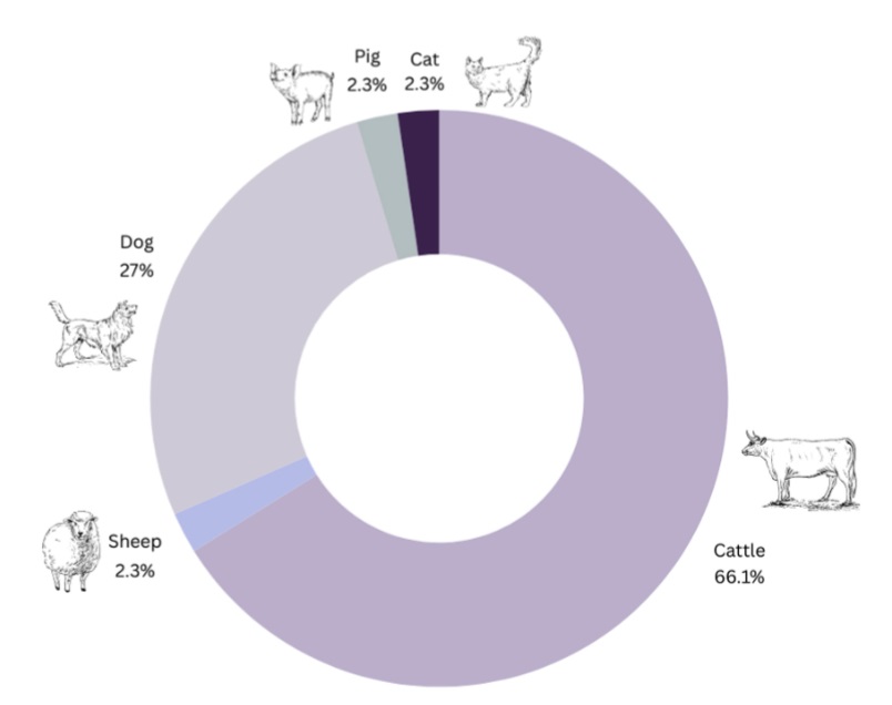 Unconventional animal models provide new insights into genetic disease - check out our new manuscript in Animal Genetics in OA Wiley doi.org/10.1111/age.13…. Thank you to all co-authors, reviewers, and editors. <a href="/CiimarUp/">CIIMAR-UP</a>, #AnimalGeneticsEvolution, #CIIMARresearch, #WomeninSTEM