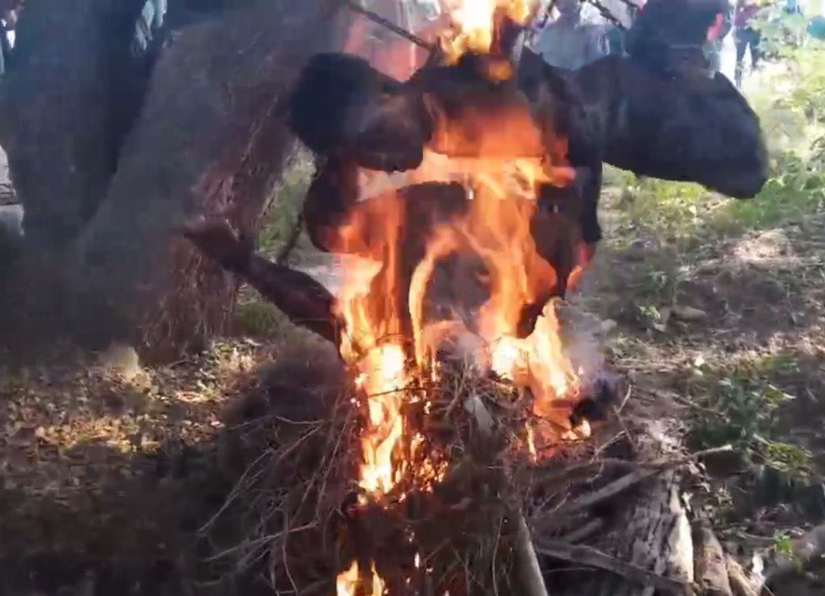 KThariNaing's tweet photo. Burmese soldiers maliciously killed  2 PDF(people defence force),who don’t accept coup and fight for freedom,by tying them to a tree with chain and burning them alive ‼️ The world must not ignore the horrific crimes being committed by the Myanmar Military‼️
#Myanmar https://t.co/W1tmRKSvNi