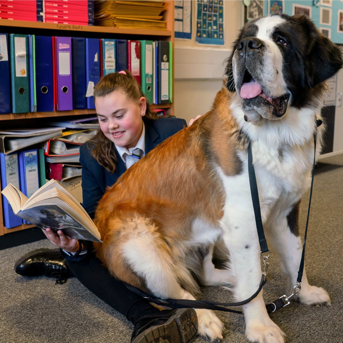 TedWraggTrust's tweet photo. As part of #ChildrensMentalHealthWeek we are shining a light on our wonderful school therapy dogs &amp; how they support us to transform lives. Our school dogs boost wellbeing &amp; help to create a calm environment... https://t.co/wbv0CSFIrQ https://t.co/XsFfOpmRwE