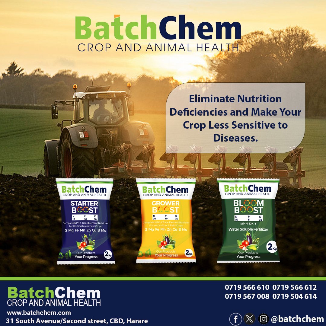 Make Your Crop More Resistant To Diseases With BatchChem Water Soluble Fertilisers!

Available at 31 South Avenue/Second street Harare: Shop Number 3, IHK Mall labeled Wakulima right opposite NATIONAL CARPETS &amp; CURTAINS.
#wakulima
#varimi
<a href="/IFarmers/">Innovative Farmers</a> <a href="/ZimAgroRetweet/">Zim Farmers Retweeter🇿🇼</a> <a href="/EcofarmerZW/">Vaya Digital Farmer</a>