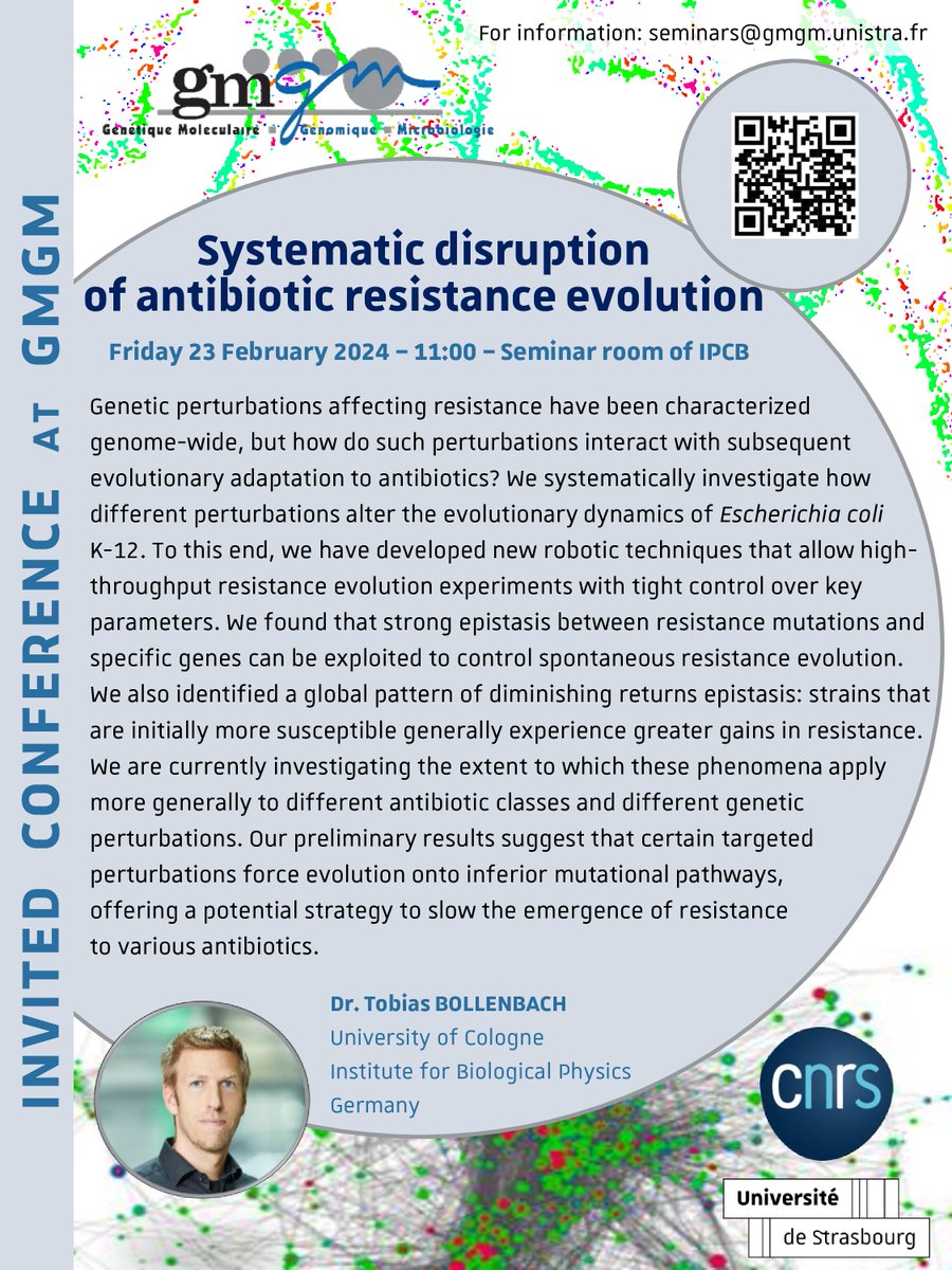 Laboratoire GMGM (@gmgmlab) on Twitter photo 
