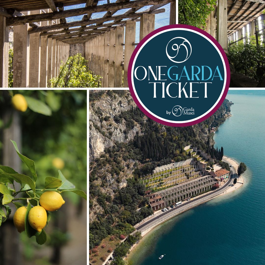 🍋LE LIMONAIE🍋 Nell'Alto #Garda ce ne sono molte e rappresentano un elemento tipico della cosiddetta "Riviera dei #Limoni", ma tu le hai mai visitate come un museo? Con 𝐎𝐧𝐞 𝐆𝐚𝐫𝐝𝐚 𝐓𝐢𝐜𝐤𝐞𝐭 puoi visitarle a prezzo ridotto! #ONEGARDATICKET