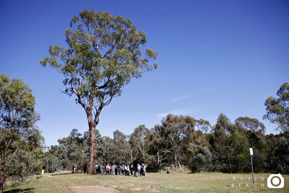 2⃣ Ngaladjimas Gardens Tour to root #DelDem2024 Summer School in Australian First Nations heritage.